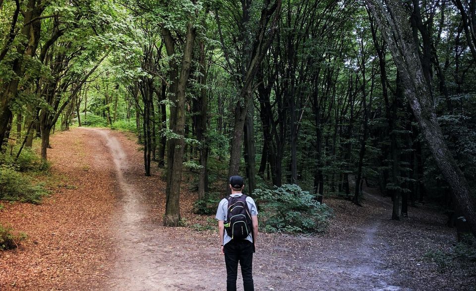 Making Better Decisions by Anticipating Errors